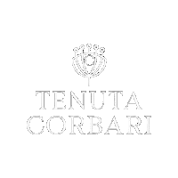 kitostudio wine luganalover tenutacorbari corbari Sticker