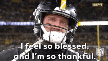 Pittsburgh Steelers Football GIF by NFL
