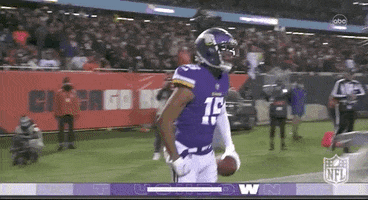 Minnesota Vikings Football GIF by NFL