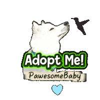 Adopt Me Sticker by PawesomeBaby