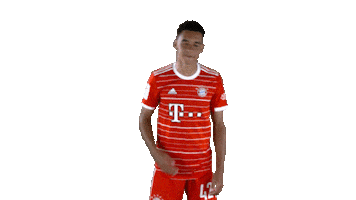Hungry Football Sticker by FC Bayern Munich
