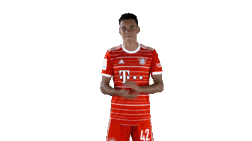 Football Soccer Sticker by FC Bayern Munich