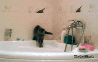time wife GIF