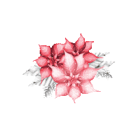 Christmas Flower Sticker by actstitude