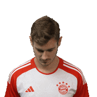 Football Sport Sticker by FC Bayern Munich