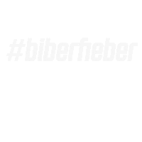 Floorball Unihockey Sticker by USV Halle Saalebiber
