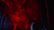 Music Video Colombia GIF by Don Toliver