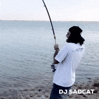 Big Fish Fishing GIF by dj sadcat