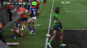 Nrl GIF by Canberra Raiders