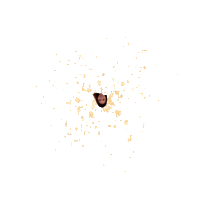 Chaejeonglol Sticker by Instagram Tag In Virtual GIF Booth