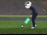 Golf Winning GIF by Hoge Finance