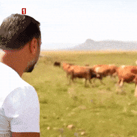Walk Go GIF by TRT