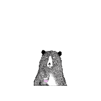 Jimbobart party bear drinks cocktail Sticker