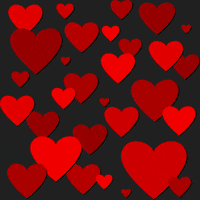 Valentines Day Love GIF