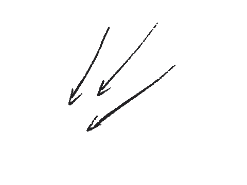 Sticker by Activator Co.