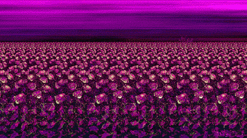 Animation Pink GIF