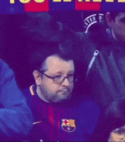 Football Fans GIF
