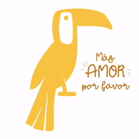 Brazil Tucano GIF by Acai Amsterdam