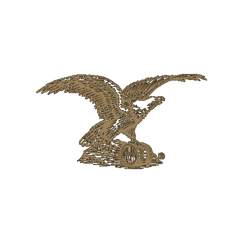 Logo Eagle Sticker by Yuengling