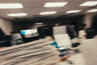 cachaus beer drinking office secret GIF