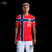 Fifa World Cup Uefa GIF by Respective