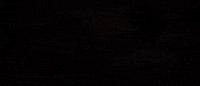 Africa Algeria GIF