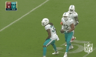 Throw It Up Miami Dolphins GIF by NFL