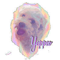 Happy Dog Sticker by isobelleDB