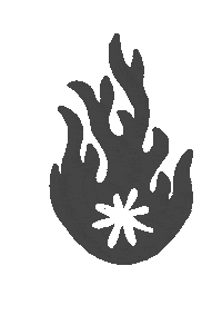 grisalida fire flame fuego llama Sticker