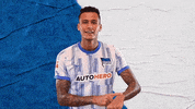 Davie Selke Bundesliga GIF by Hertha BSC