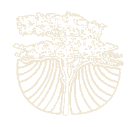 Mata Atlantica Moda Sticker by Pipe Content House