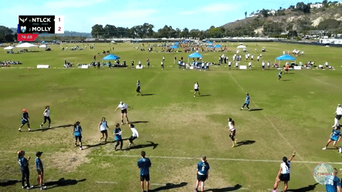 flikulti ultimate frisbee flik GIF