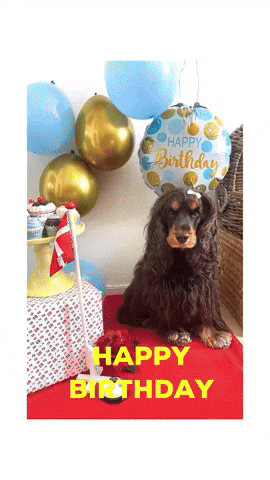 Happy Birthday Congrats GIF
