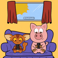 See Aye Aye GIF by VeeFriends