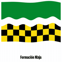 Flag Spain GIF by Formación Ninja