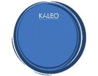 home realtor Sticker by KALEO Real Estate Company