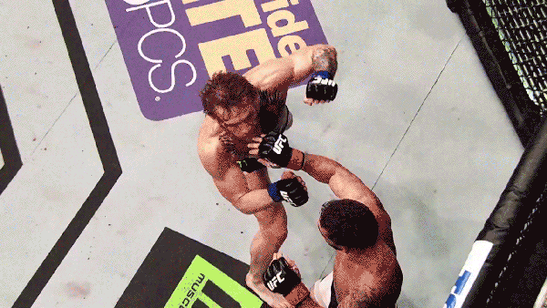 like a boss fight GIF by Conor McGregor
