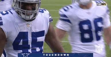 2018 Nfl Football GIF by NFL