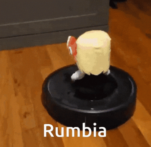 Roomba GIF