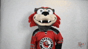 Are You There Hello GIF by Huntsville Havoc