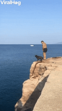 Dog Cliff Dives into Water