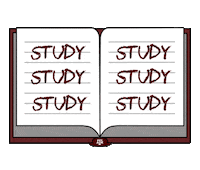 Studying Texas Am Sticker by Texas A&M University