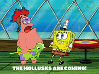 season 5 GIF by SpongeBob SquarePants