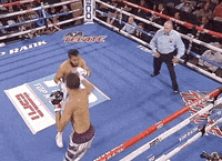 toprank fight boxing champion espn GIF