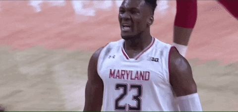 excited lets go GIF by Maryland Terrapins