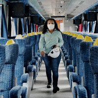 valenobrasil  GIF
