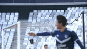 Football Soccer GIF by Ligue 1