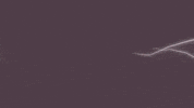 Football Sport GIF by Inter Miami CF