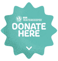 summer i donated Sticker by Miami Waterkeeper