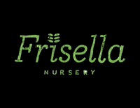 Plants Frisella GIF by frisellanursery